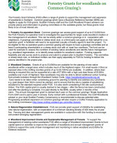 Forestry grants for common grazings